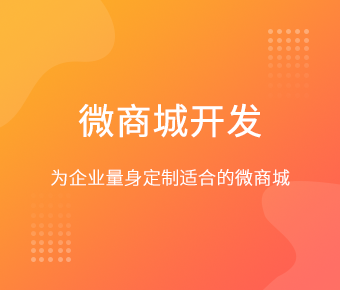 微商城开发_微商城定制开发_微商城平台开发