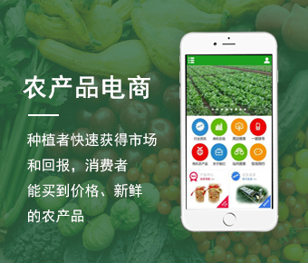 农产品电商APP_农产品电商APP开发平台_移动农产品电商APP开发