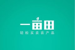 类似一亩田平台开发需要多少钱？