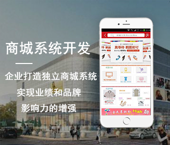 商城系统开发_商城app开发_商城app开发公司