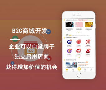 b2c商城开发_b2c商城系统开发_b2c商城平台开发