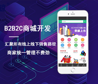 b2b2c商城开发_b2b2c商城系统开发_b2b2c多用户商城系统开发