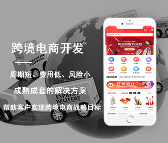 跨境电商开发_跨境电商系统开发_跨境电商app开发