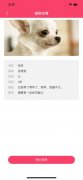 深圳动物领养app开发案例简介