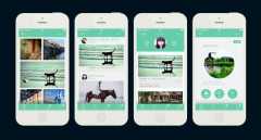保定旅行app开发：为何旅行app开发这么热门？