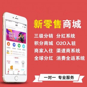 新零售<a href='https://www.vowins.com/app/dsAPP/' target='_blank'><u>电商app</u></a>开发.jpg