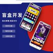 盲盒app功能有哪些，定制盲盒app价格
