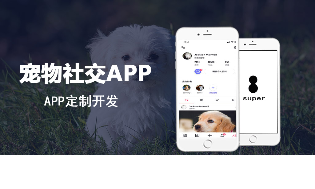 宠物社交APP开发案例_社交APP开发功能案例