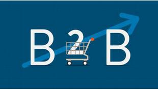 b2b商城<a href='https://www.vowins.com/xtkf/' target='_blank'><u>系统开发</u></a> b2b商城网站建设 b2b网上<a href='https://www.vowins.com/app/scxtkf/' target='_blank'><u>商城开发</u></a>