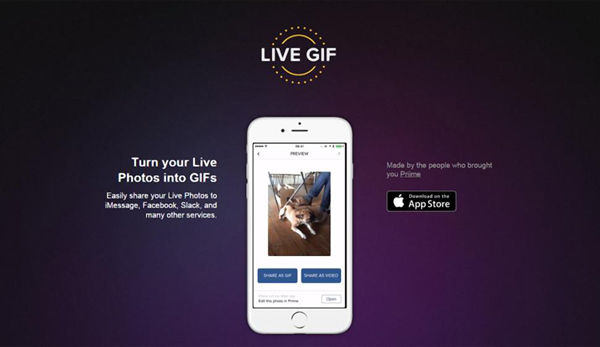 广州App外包公司介绍Live GIF App