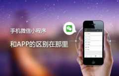 郑州小程序APP开发公司有什么特点？