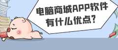 电脑商城APP开发功能案例简介