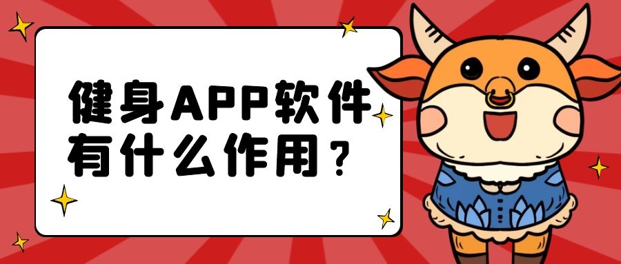 APP开发设计