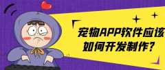 宠物APP开发功能优势是什么？