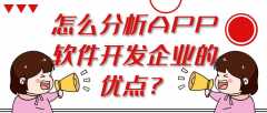 如何分享app开发公司的优缺点？