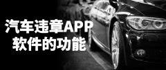 汽车违章APP开发需要具备哪些功能？