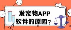 宠物APP开发常见功能有哪些？报价是多少？